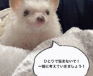 子育てのどんな相談にも乗ります 悩んでいいんです。小さな不安大きな悩み、聞かせてください。 イメージ1