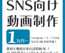 SNS向け動画を1万円で制作します 細かい指示がなくても印象に残る映像に編集 イメージ1