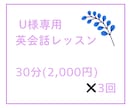 U様専用・英会話レッスンをします リスニング・スピーキングに特化したトレーニングをします イメージ1
