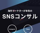 海外マーケターがSNSコンサルします 集客・認知獲得‼︎初心者さんでも大歓迎 イメージ1