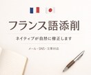 フランス語ネイティブが自然に添削しますます 自然で読みやすいフランス語に整えます イメージ1