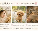 お写真をやわらかくおしゃれに加工・編集します お子さま・ペット・思い出写真をやさしく素敵に仕上げます！ イメージ4