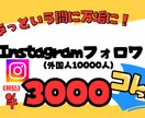 インスタグラムフォロワー１万人増やします Instagramフォロワーを格安で一万人増やします！ イメージ1