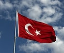 トルコ語⇄日本語　自然な翻訳を迅速に提供します 留学経験を活かした自然な表現が強み イメージ1