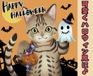 愛猫を可愛くハロウィン風に描きます あなたのお家の猫さんにハロウィンの仮装を♪ イメージ1
