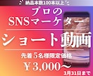 現役SNSマーケターが手元の素材をプロ動画にします 累計100本以上作成した実績で安心。 イメージ1