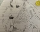 好きなお花や家族の一員ペットの似顔絵描きます 鉛筆、ボールペンのみで仕上げます✏️色はつきません。 イメージ3