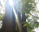 大人の恋の悩みプロの心理カウンセラーがお答えします 人に言えなくて苦しんでいるあなたへ、すっきり解決方法を伝授 イメージ1