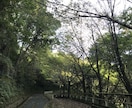 ニートや無職の方を救います ニートや無職で将来不安のある方はご気軽にぜひご相談ください！ イメージ1