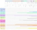 あなたの家族のルーツ、たどります 世界に一つ、あなたのための家系図 イメージ3