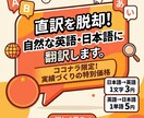 直訳を脱却！【3円／文字】自然に翻訳します 伝えたいニュアンスをそのまま、違和感のないネイティブ表現へ イメージ1