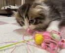何でも聞きます あなたのお話聞かせて下さい！気軽にどうぞ♪ イメージ1