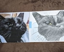 猫の似顔絵描きます 色鉛筆画で写真そっくりに描きます。 イメージ1
