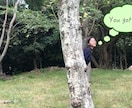 Final Cut Proを使用した動画編集します 編集はセンス良く、カット、字幕入れ等は正確に行います。 イメージ3