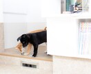 犬と暮らす為のリフォームの工夫、ご提案します 世話も掃除も簡単に。計画図、パース、プレゼン作成します！ イメージ4