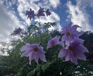 短いお時間OK＾＾いろいろなお話聴き♪ます お話し相手が欲しい、お悩みなどあるときのお話相手になります✨ イメージ6
