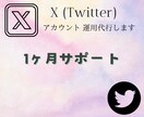 X(Twitter)1ヶ月運用代行致します 1ヶ月サポートプラン✿運用お任せ下さい！ イメージ1