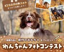 情報が整理された見やすいバナーを制作します 視線の流れを意識し、伝えたい内容を分かりやすく整理します イメージ4