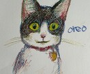 クレヨンでペットのイラストを描きます 優しい雰囲気でどこか癒される！ イメージ1