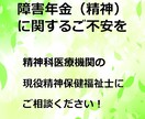 障害年金（精神）について専門家に相談できます 精神科の現役精神保健福祉士が不安を一緒に整理します！ イメージ1