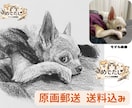 原画郵送♪  大切なペットを鉛筆でリアルに描きます 原画郵送/リアルな鉛筆スケッチ画/ポストカード〜A4まで イメージ1