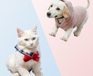 ペットもモデルに！動物AI写真サービスを承ります ペットの魅力を引き出すAIモデル写真！ イメージ1