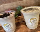 キャラクターデザイン製作いたします ポップなデザインを得意としています。 イメージ2