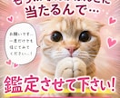 ワンコインで鑑定いたします 相手の気持ちなど鑑定させて下さい！！ イメージ1