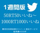 1週間毎日50RT〜1000RTでツイート拡散ます いいね！150RT200RT250RT300RT1000RT イメージ1