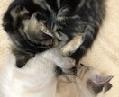 自分が撮った好きな写真を載せます 誰かの目に止まって一緒に共感して貰えたら嬉しいです イメージ10