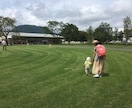 子育てでツライと感じること、お悩み解決します モンテッソーリ流無理しすぎない子育て法！ イメージ1