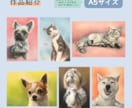 原画をご提供！リアルなペットのパステル画を描きます A5サイズ〜大小様々なサイズに対応します。 イメージ3