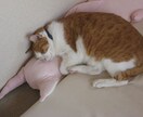 ホームページの困ったを即解決！ イメージ1