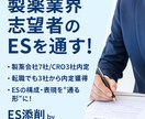 製薬業界志望のESを添削します 7社内定の実績で説得力あるESへ イメージ1