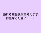 アパレル通販の商品説明を作成します ネットショップ商品説明文を考えます!! イメージ1
