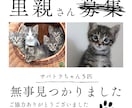 猫instagramの投稿や広告画像制作します ねこに特化！イメージに寄り添い丁寧にデザイン制作いたします！ イメージ10