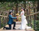 心に残る一日を写真にます 自然な笑顔と感動の瞬間をプロが撮影。群馬・関東近郊で出張対応 イメージ6