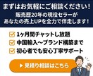 初心者歓迎！Amazon中国輸入コンサルします 販売歴20年の現役セラーがあなたの売上UPを全力で伴走します イメージ10