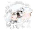 愛犬ペット似顔絵イラストをデザインします ポスター・フレームパネル納品可。プレゼント・遺影にも イメージ3