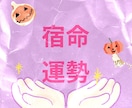 カード&算命学のハイブリッドで鑑定します カードで「今の状況や気持ち」、算命学で「運気の流れ」鑑定 イメージ7