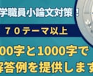 大学職員小論文試験対策を提供します 回答例70テーマ以上!（既卒・第二新卒・新卒向け） イメージ1