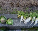 お客様の希望を聞いて画像を編集します 「あなたの"こうしたい"を、カタチにします」 イメージ3