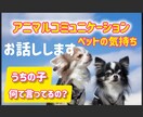 アニマルコミュニケーション動物さんとお話しします ペットの気持ちを聞いてみませんか？ イメージ1