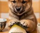 実写風の動物AI動画制作/台本〜編集します 実写みたいに動く。動物AIショートを1本から制作します イメージ2