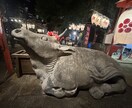 霊感 霊視タロット鑑定します 四柱推命、タロット、オラクル、ルノルマンなど使用 イメージ3