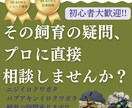 ニジイロ＆パプキン｜クワガタ飼育の疑問、解決します 飼育成功の近道しませんか？現役ブリーダーがお助けします!! イメージ1