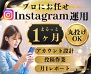 Instagram本気で１ヶ月運用代行いたします インスタ運用★まるっとプロにお任せでOK！ イメージ1