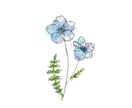 誕生花やお好きなお花の絵を描きます あなたに、大切な誰かに、世界に一枚だけの特別なお花を。 イメージ9