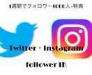 1週間でsnsフォロワー1000人増やします 商品を買ってもらいやすいアカウント作りに。【豪華特典付き】 イメージ1