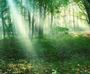 1日あなたの全てを受け入れます あなたを否定しません！少しでも心を軽くしませんか？ イメージ1